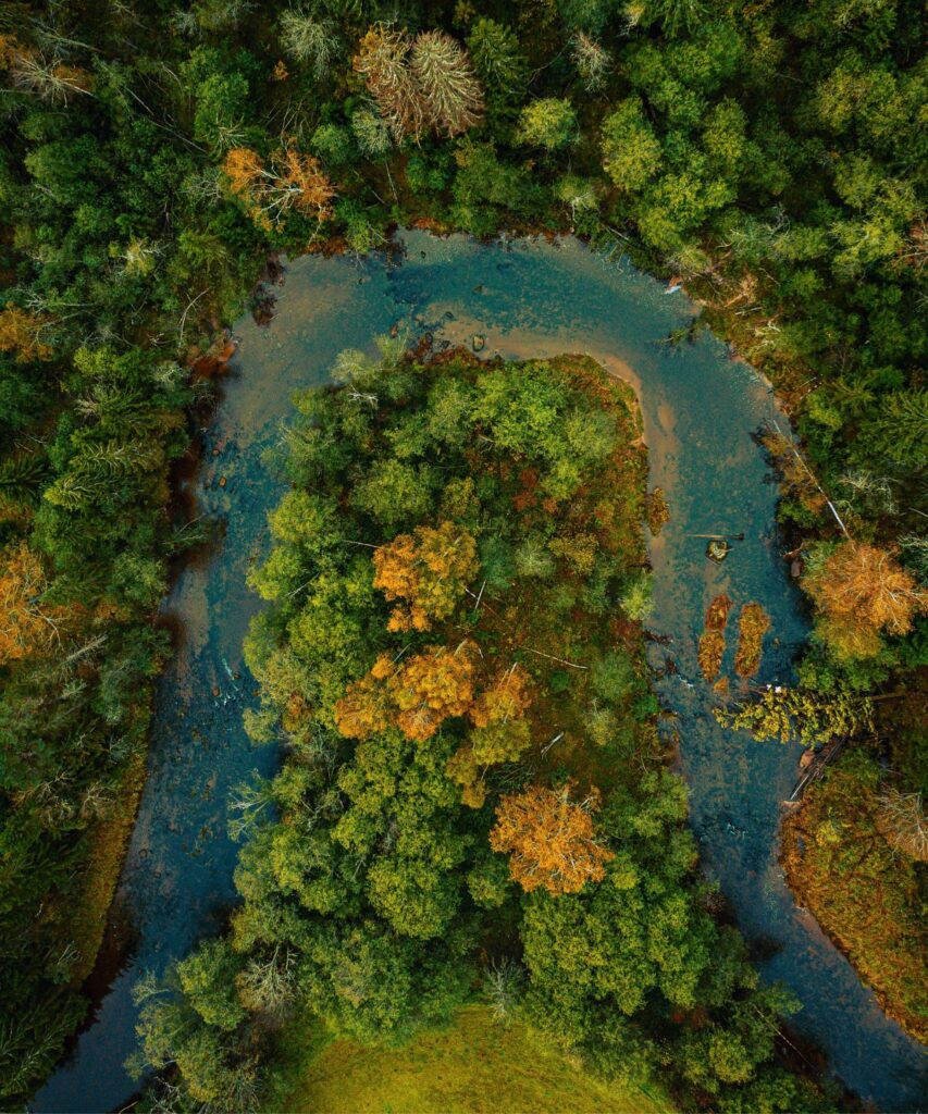 image representing sustainability